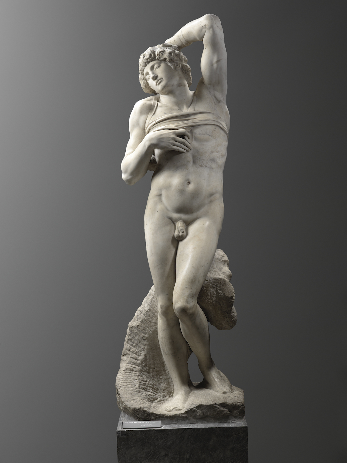 A Resplendent Renaissance Looms at the Louvre – The Gourmet Gazette