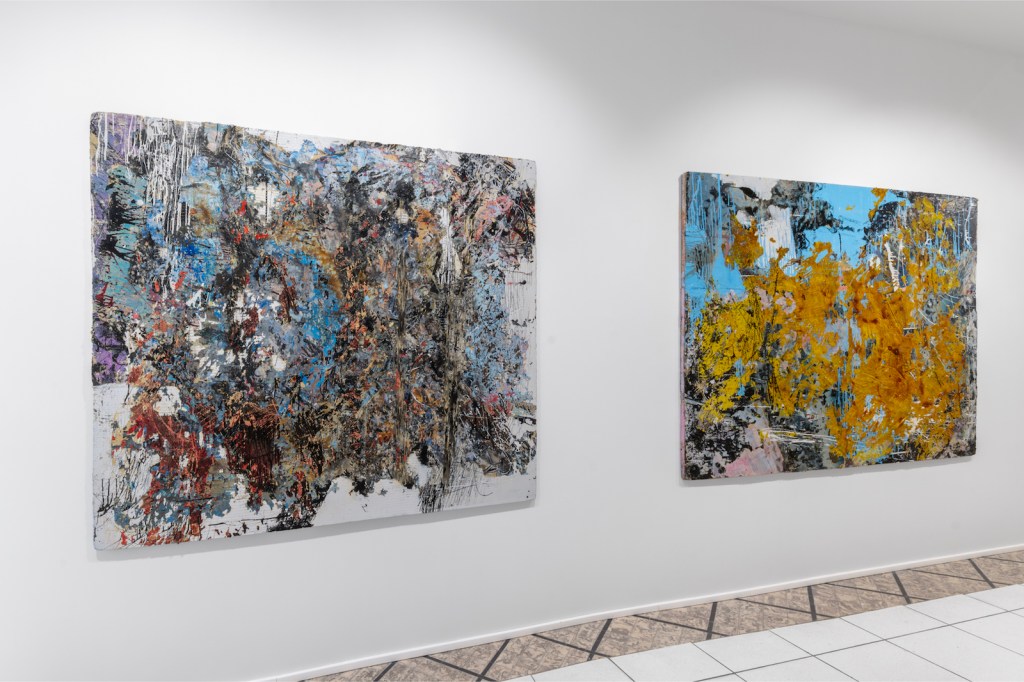 Barbana Bojadzi, Ordered fields_Exhibition