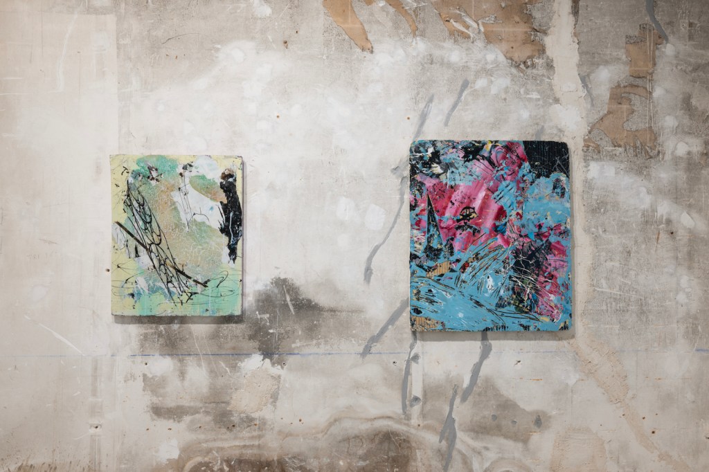 Barbana Bojadzi, Ordered fields_Exhibition