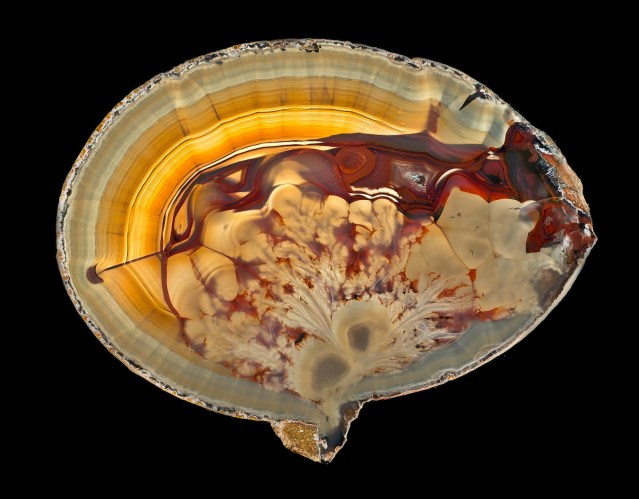"L'Ardeur" (Ardor), agate. Likely from the Rio Grande do Sul state in Brazil Paris, Muséum national d'histoire naturelle, mineral and gem collection, photograph by François Farges . Handout via The Gourmet Gazette